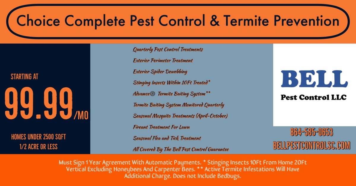 Pest Control Packages Bell Pest Control